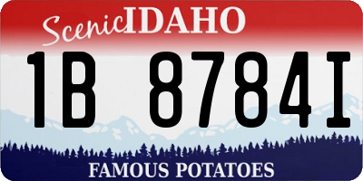 ID license plate 1B8784I