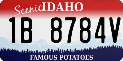 ID license plate 1B8784V