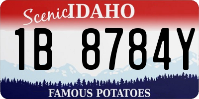 ID license plate 1B8784Y