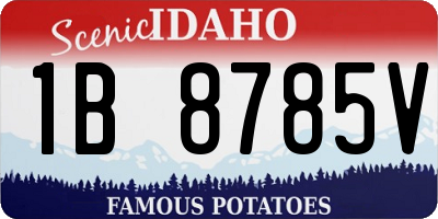 ID license plate 1B8785V