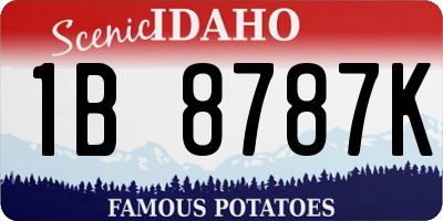 ID license plate 1B8787K
