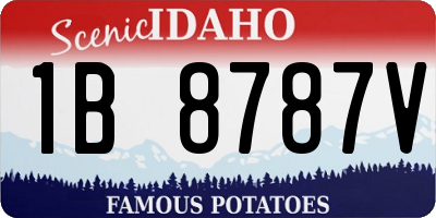 ID license plate 1B8787V