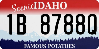 ID license plate 1B8788Q