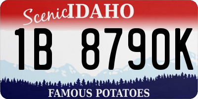 ID license plate 1B8790K