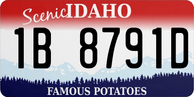 ID license plate 1B8791D