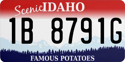 ID license plate 1B8791G