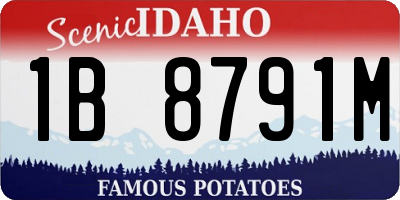 ID license plate 1B8791M