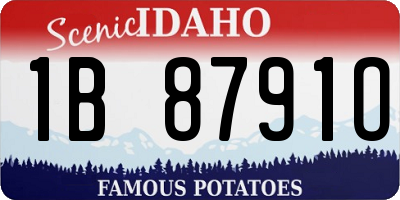 ID license plate 1B8791O