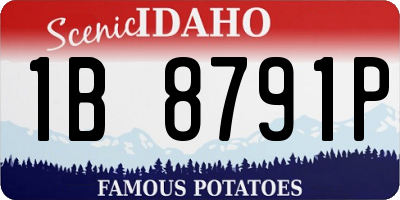 ID license plate 1B8791P