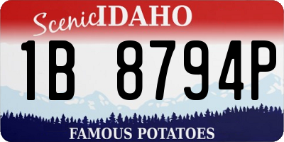 ID license plate 1B8794P