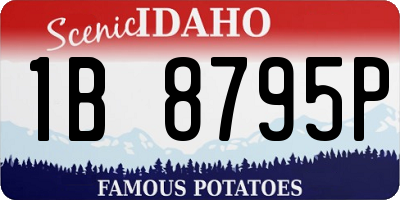 ID license plate 1B8795P