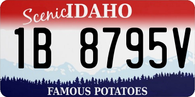 ID license plate 1B8795V