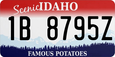 ID license plate 1B8795Z