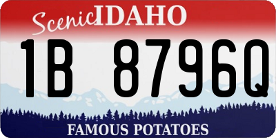 ID license plate 1B8796Q