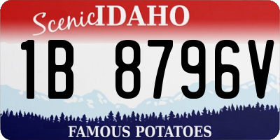 ID license plate 1B8796V