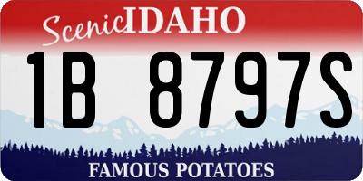 ID license plate 1B8797S