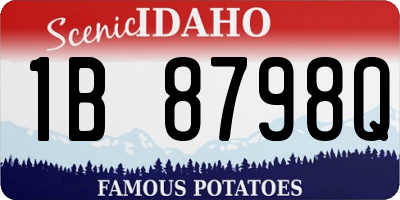ID license plate 1B8798Q