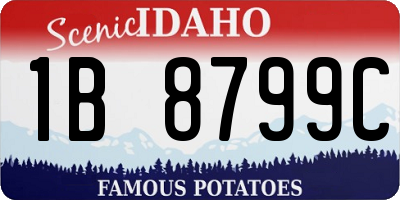 ID license plate 1B8799C