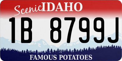 ID license plate 1B8799J