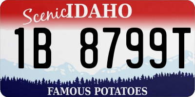 ID license plate 1B8799T