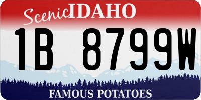 ID license plate 1B8799W