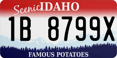 ID license plate 1B8799X