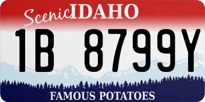 ID license plate 1B8799Y