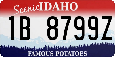 ID license plate 1B8799Z