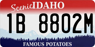 ID license plate 1B8802M