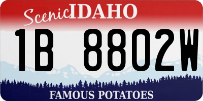 ID license plate 1B8802W