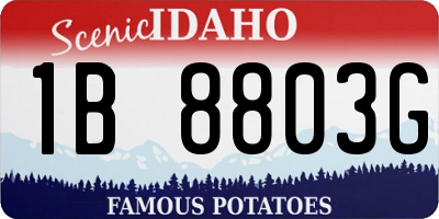ID license plate 1B8803G