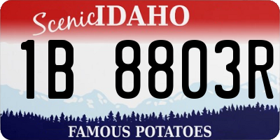 ID license plate 1B8803R