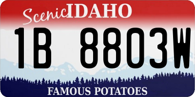 ID license plate 1B8803W