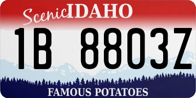 ID license plate 1B8803Z