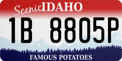 ID license plate 1B8805P