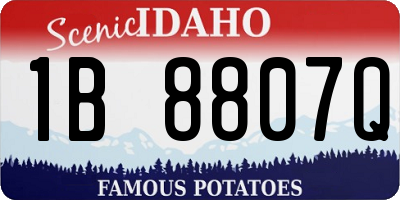 ID license plate 1B8807Q