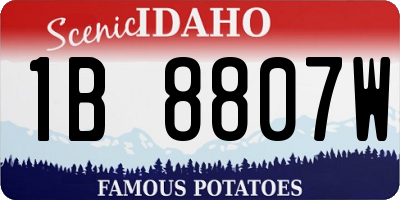 ID license plate 1B8807W