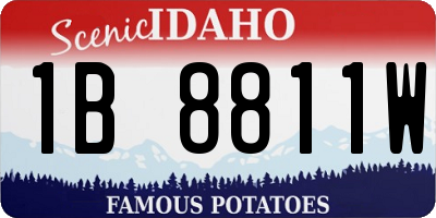 ID license plate 1B8811W