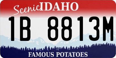 ID license plate 1B8813M