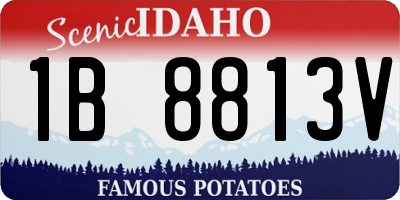 ID license plate 1B8813V