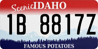 ID license plate 1B8817Z