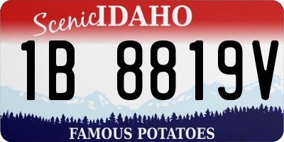 ID license plate 1B8819V
