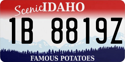 ID license plate 1B8819Z