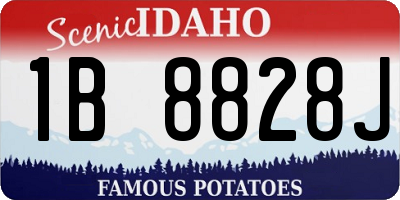 ID license plate 1B8828J