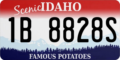 ID license plate 1B8828S