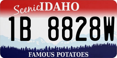 ID license plate 1B8828W
