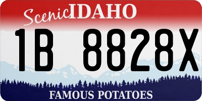 ID license plate 1B8828X