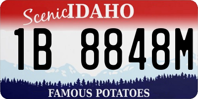 ID license plate 1B8848M