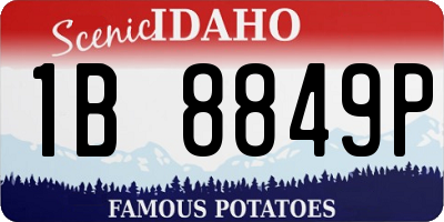 ID license plate 1B8849P