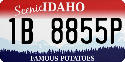 ID license plate 1B8855P